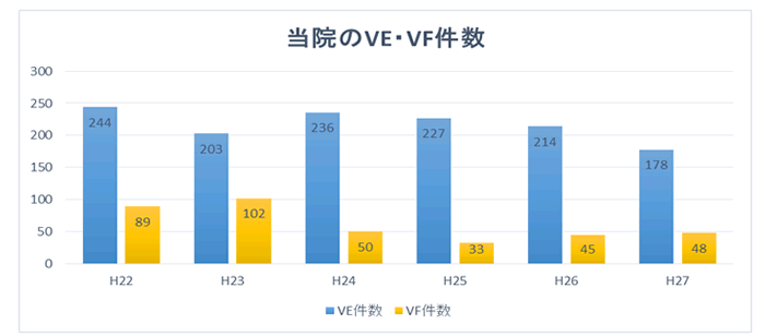 VE・VF年間実績